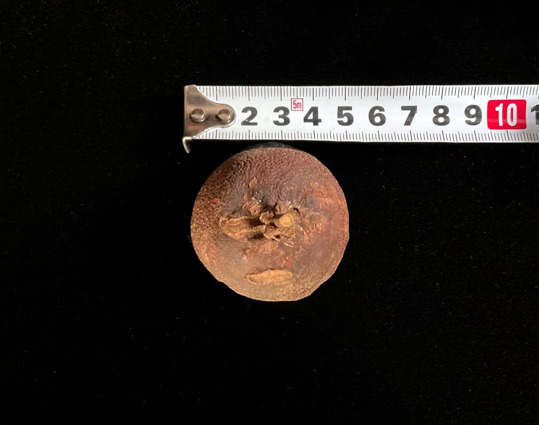 【珍品】市川銕琅　宗旦好 橙香合　金箔塗　茶道具　市川銕琅書箱　花押あり