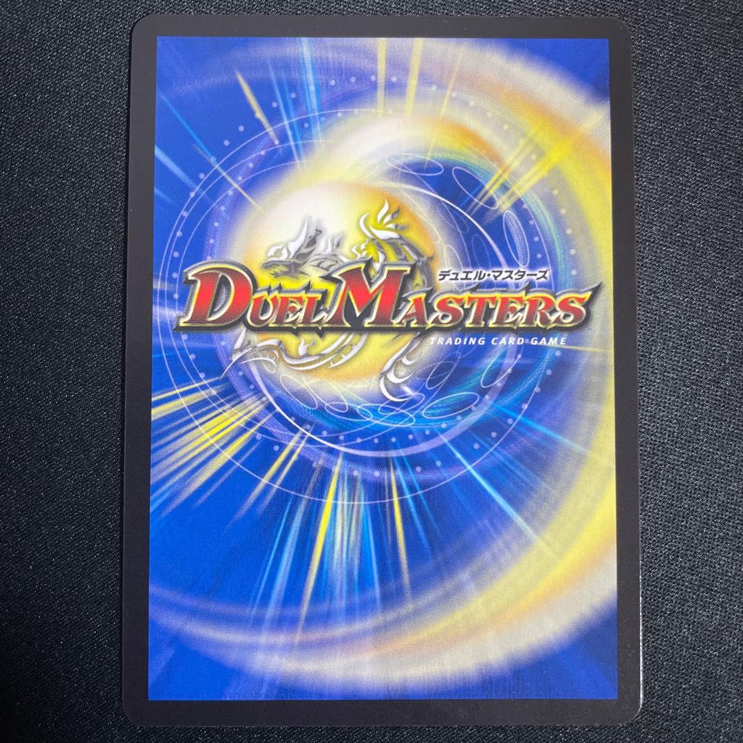 シャコガイル　A ②