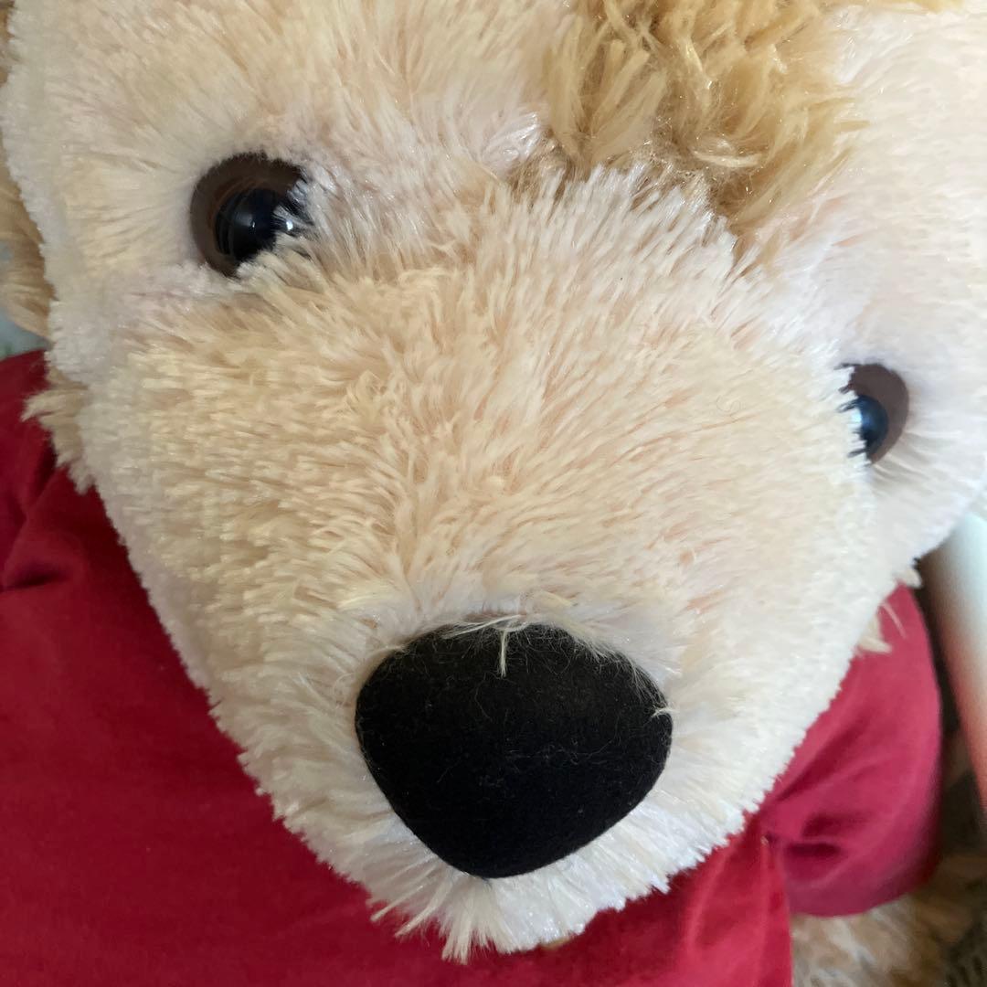 ダッフィーぬいぐるみ　大きめ　ステラルーぬいぐるみ　オマケ付き