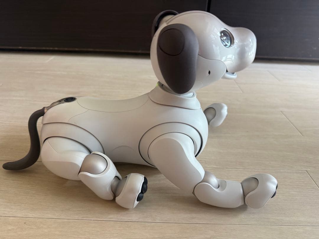 Sony aibo ERS-1000 aibo（アイボ）