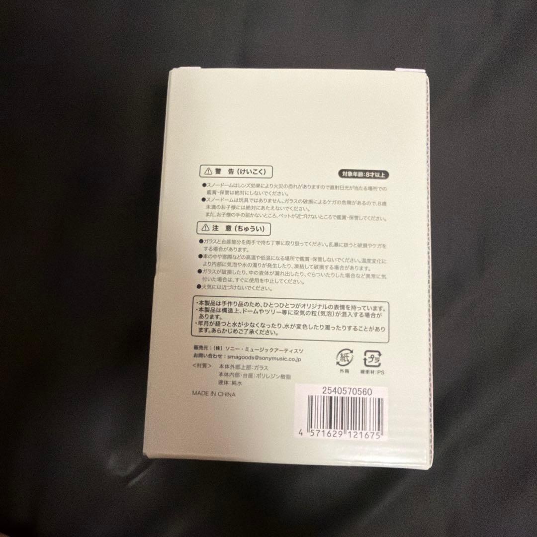 西野カナ ライブ　Christmas Magic スノードーム