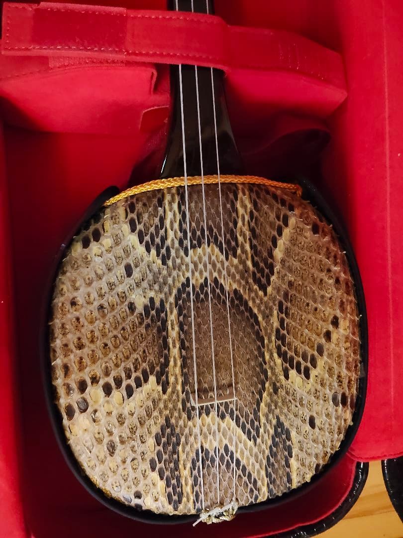 三線本体 ヘビ皮 ケース付き