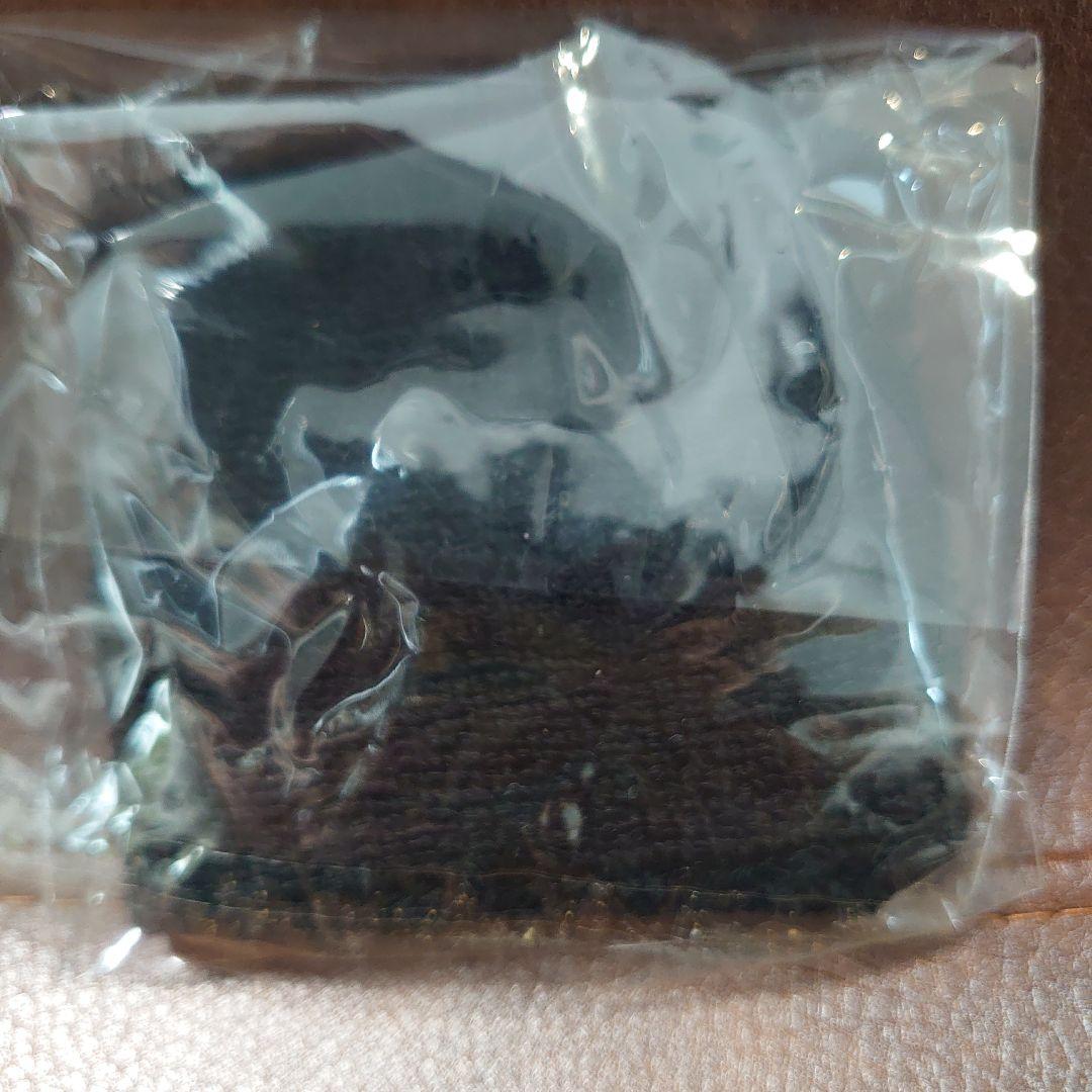 【激レア】G.W.ニコライ WINTERTOUR 2010-2011 公式グッズ