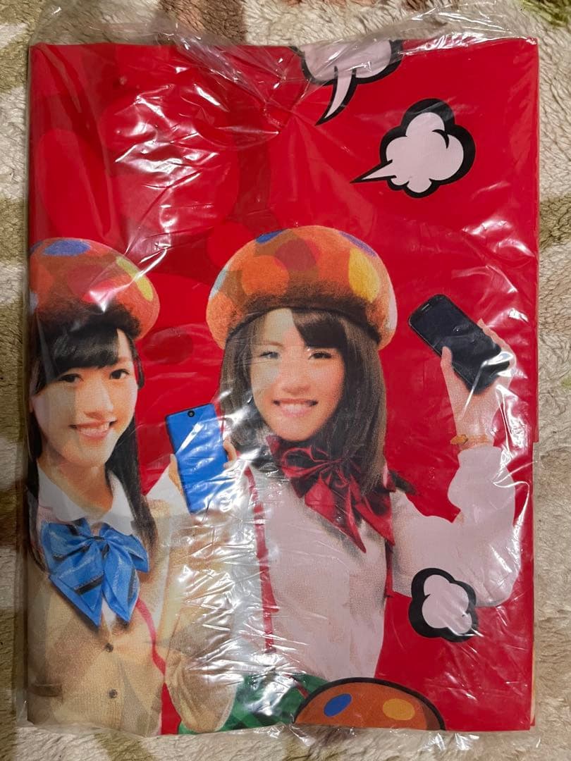 AKB48 NTTドコモ AKBダケの応援学割2013 タペストリー のぼり