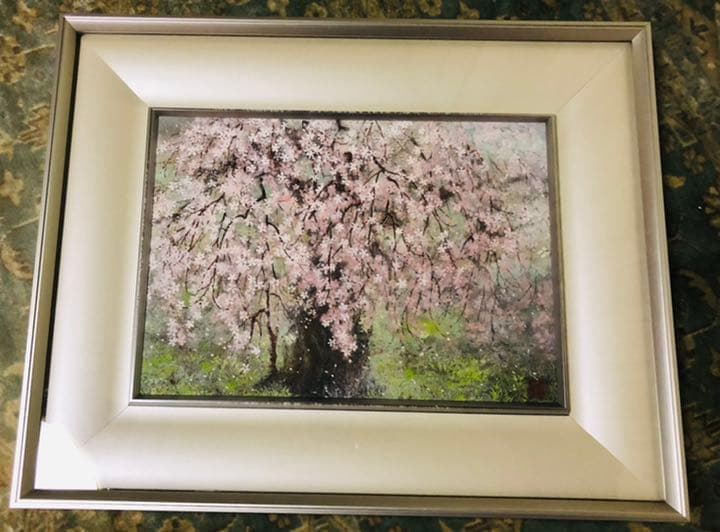 日本画　上賀茂の櫻