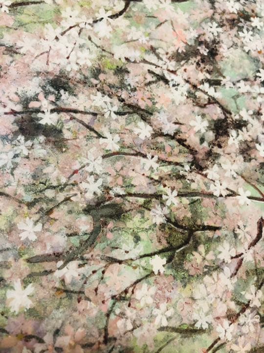 日本画　上賀茂の櫻