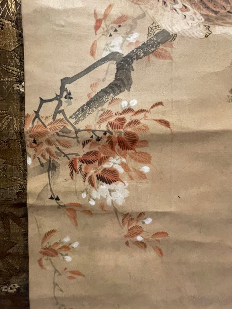 松村景文　山桜ニ山鳥　掛軸　紙本　江戸時代