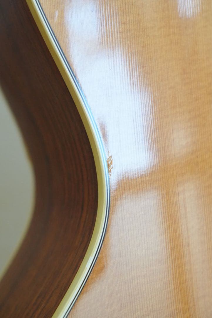 ギター テイラー Taylor 214e ケース+おまけ付