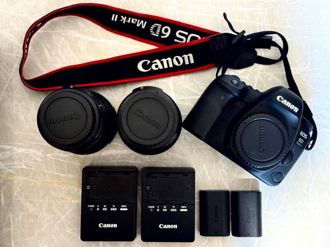 Canon EOS 6D Mark II 一眼レフカメラセット