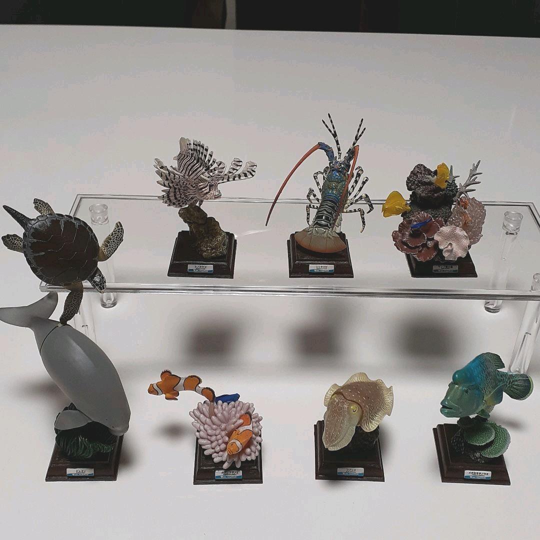 フィギュア　鳥羽水族館立体コレクション