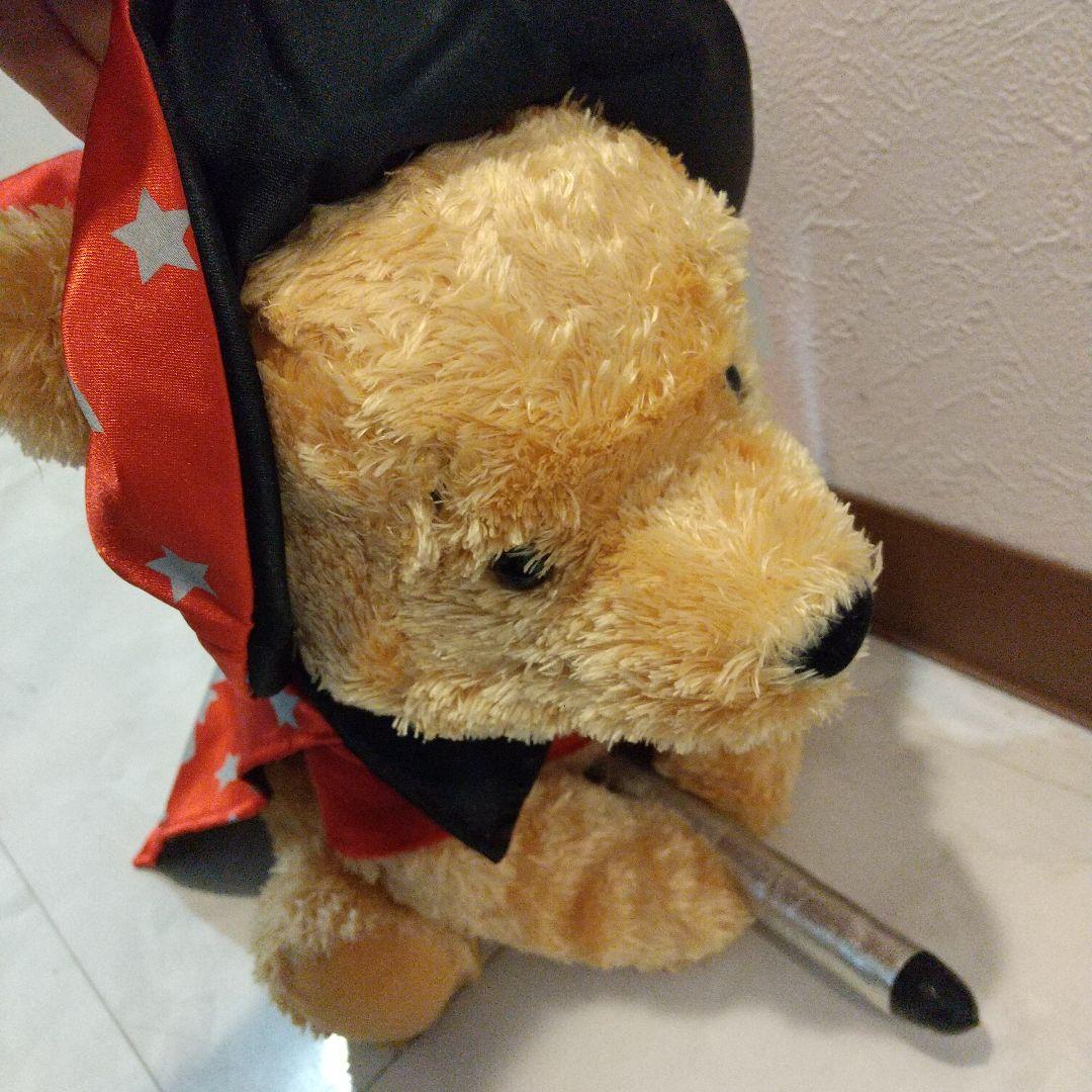 新品　ディズニーストア　プーさん　ハロウィン　ぬいぐるみ 魔法使い　2004