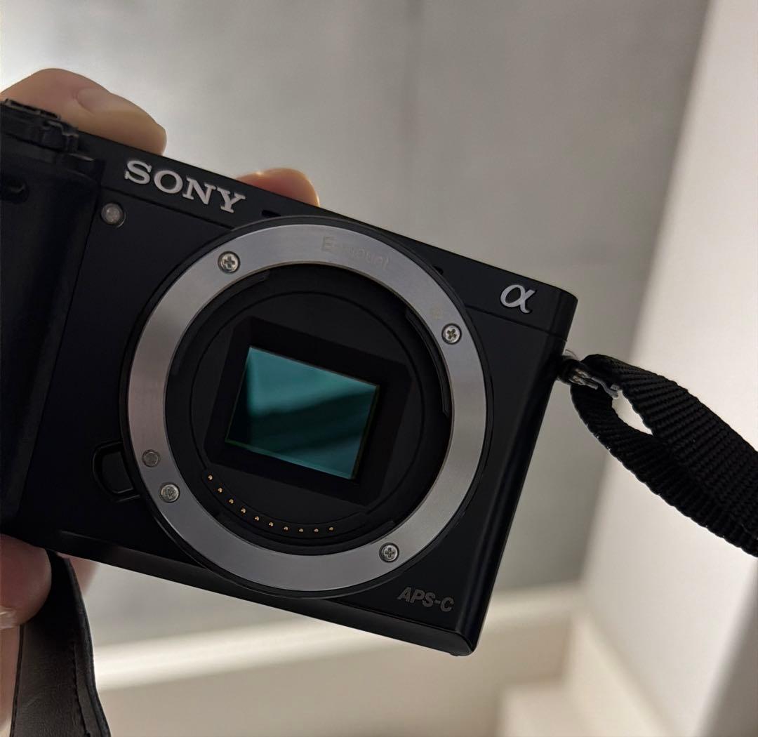 カ*ン様 訳あり ソニー SONY α6000 ダブルズームレンズキット