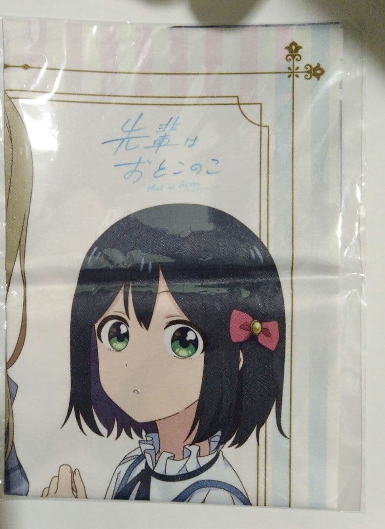 先輩はおとこのこ　アニメイト全巻購入特典　B3布ポスター