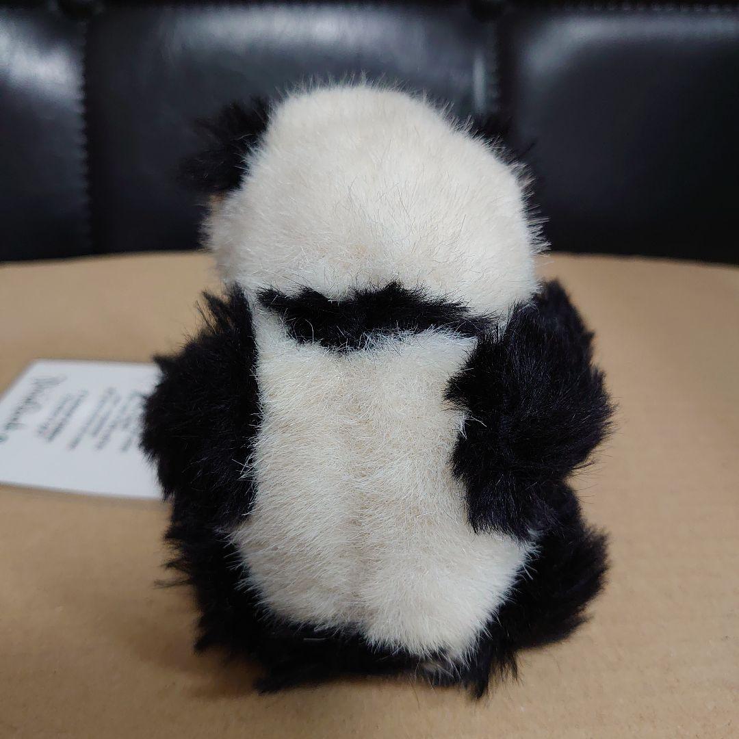 【製作者サイン色紙付き】テディベア パンダ 5体限定 エスコール ノンバス