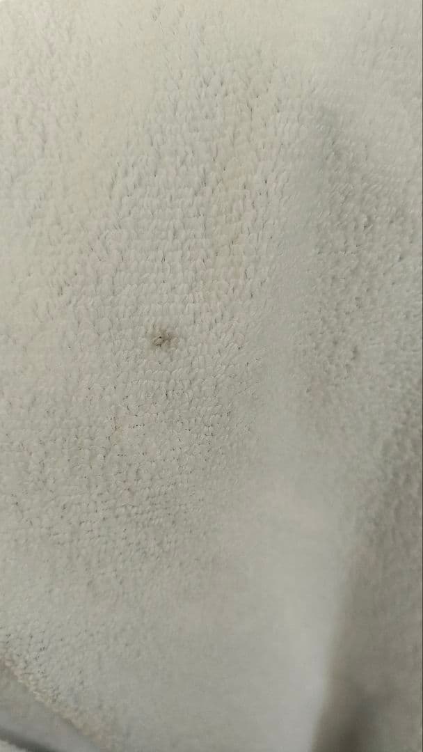 恋と深空 シン タオル