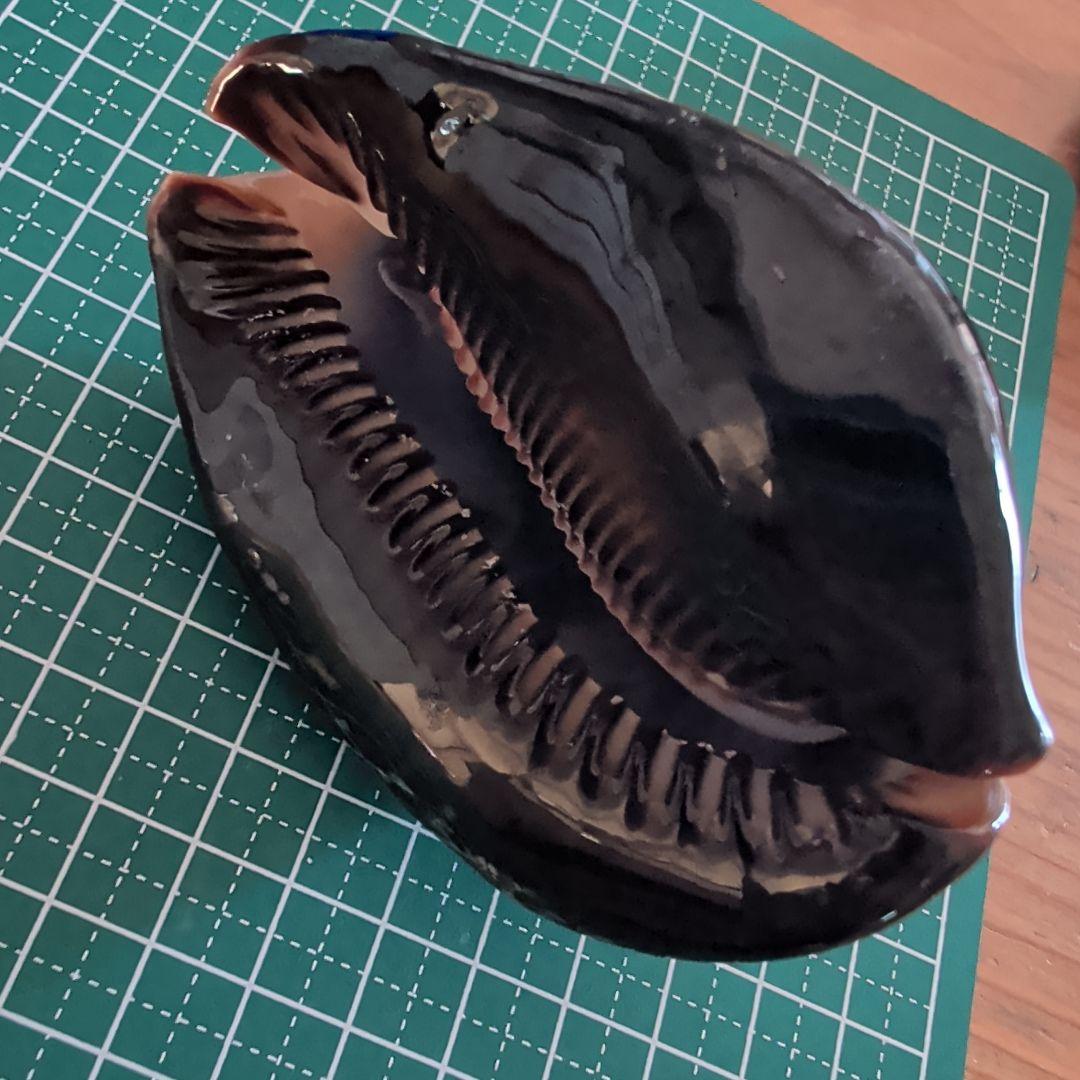 ハチジョウダカラ