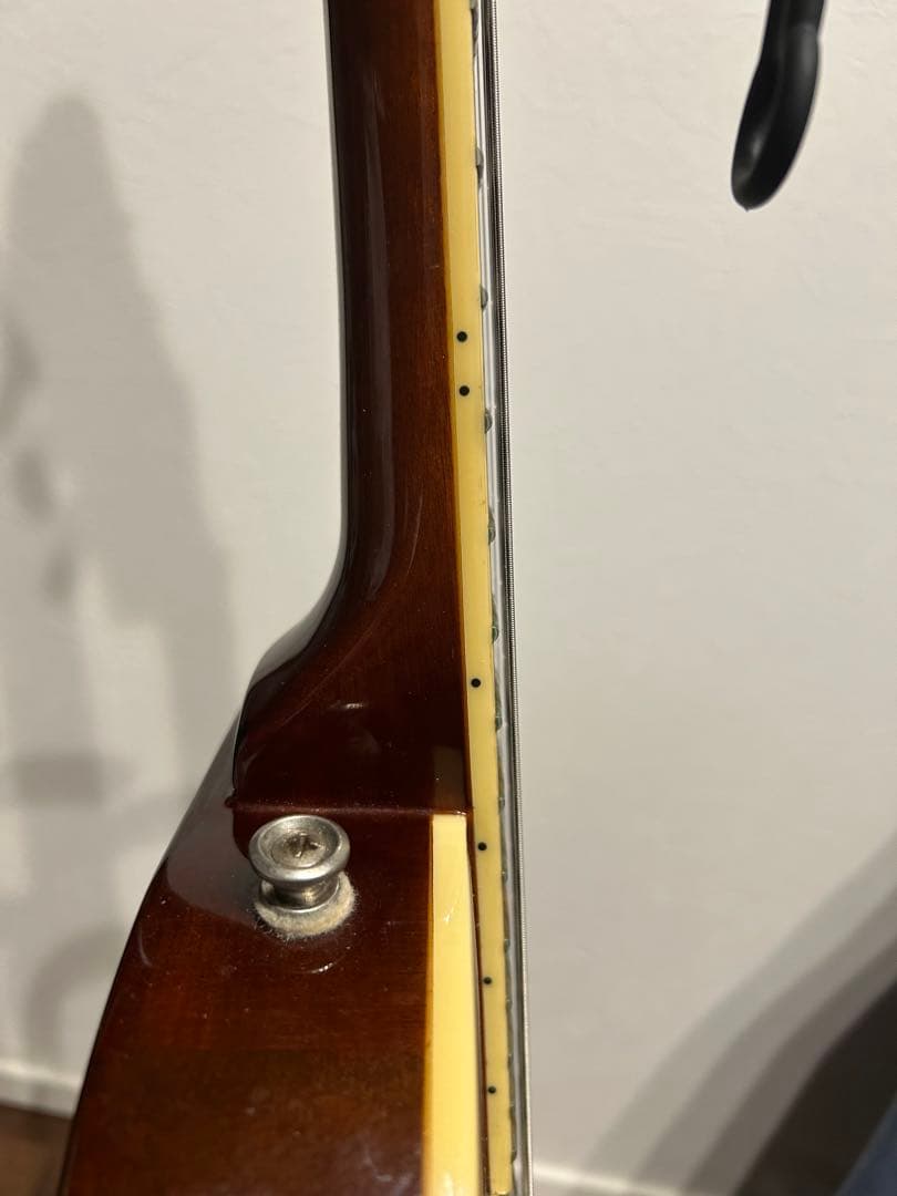 Epiphone エピフォン レスポール Standard PRO ケース付き