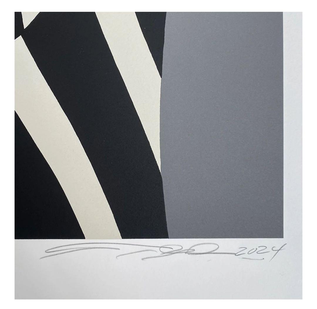 松山しげき PORTRAIT OF DAZZLE シルクスクリーン ED 50