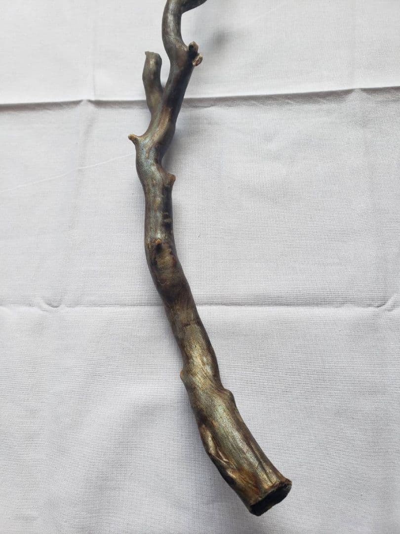 深海松☆レインボーコーラル☆宝石珊瑚