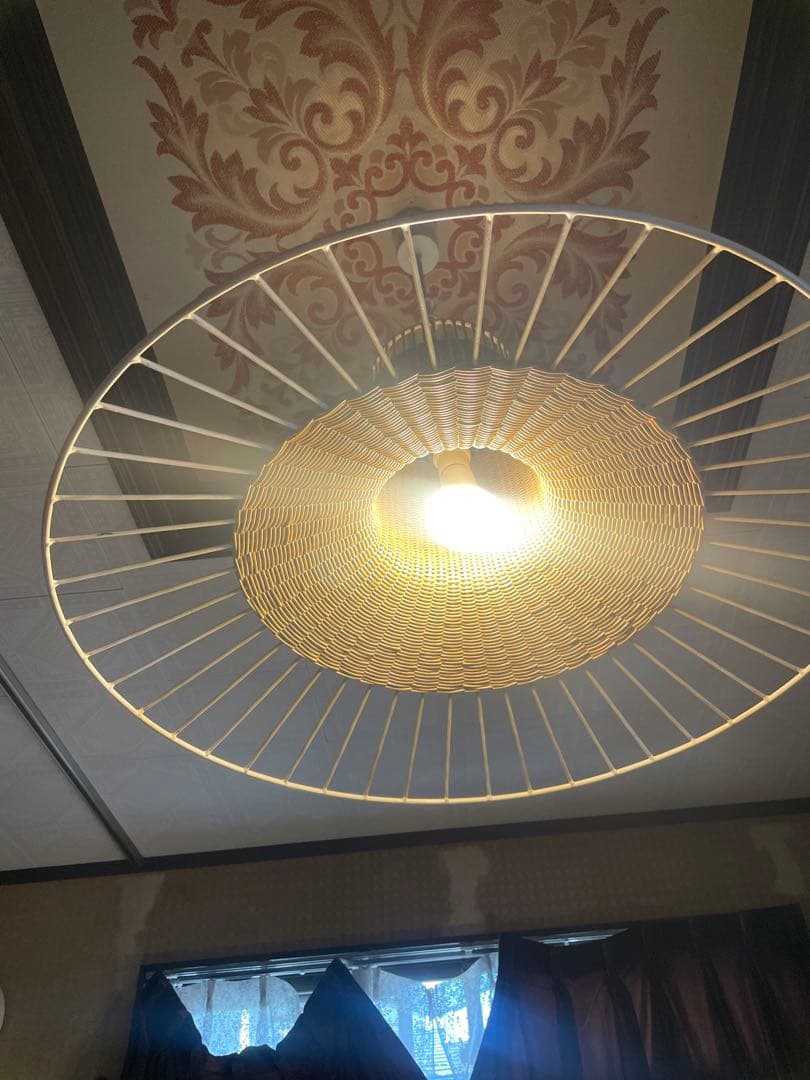 IDEE イデー LILIUM LAMP L ペンダントライト 点灯確認済