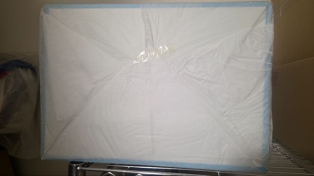 アークナイツ アーミヤ 見習い宅配人 VER. 豪華版 1/7スケール