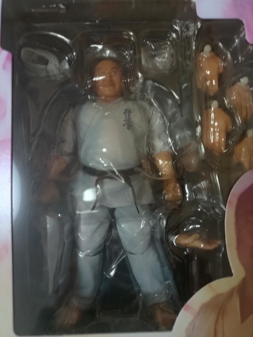 E*I様 超像革命外伝 大山倍達 フルアクションフィギュア　未開封