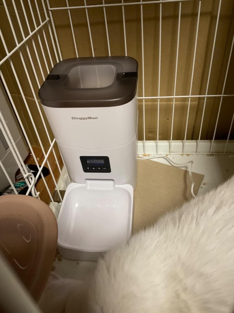 ドギーマン おるすばんサポートフィーダー(自動給餌器)