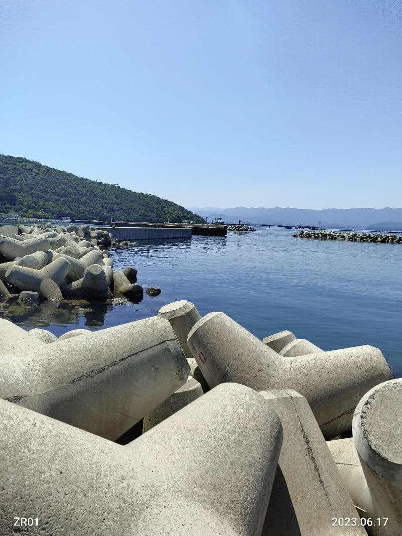 手づくり テトラ ミニチュア Mサイズ30個