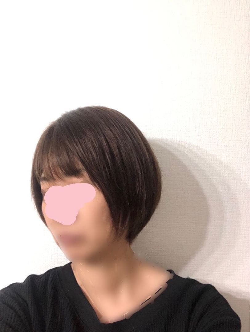 人毛ショート　ブラウン　未使用