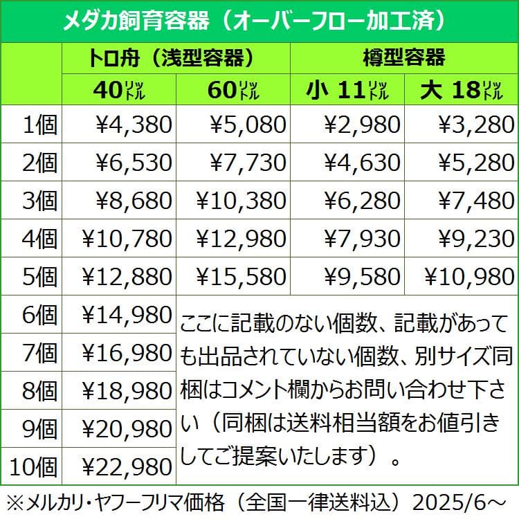 【新仕様】メダカ飼育ケース 40㍑トロ舟x5個 オーバーフロー加工済 金魚飼育容