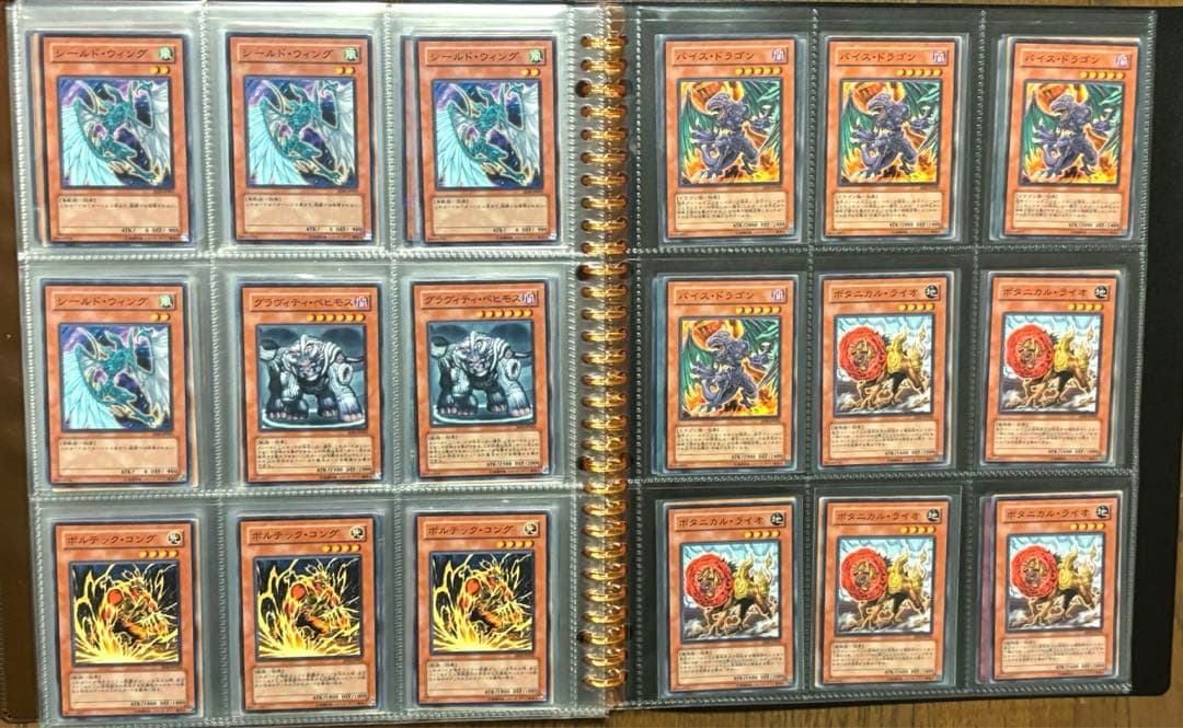 遊戯王初期〜5Ds、ゲートボール