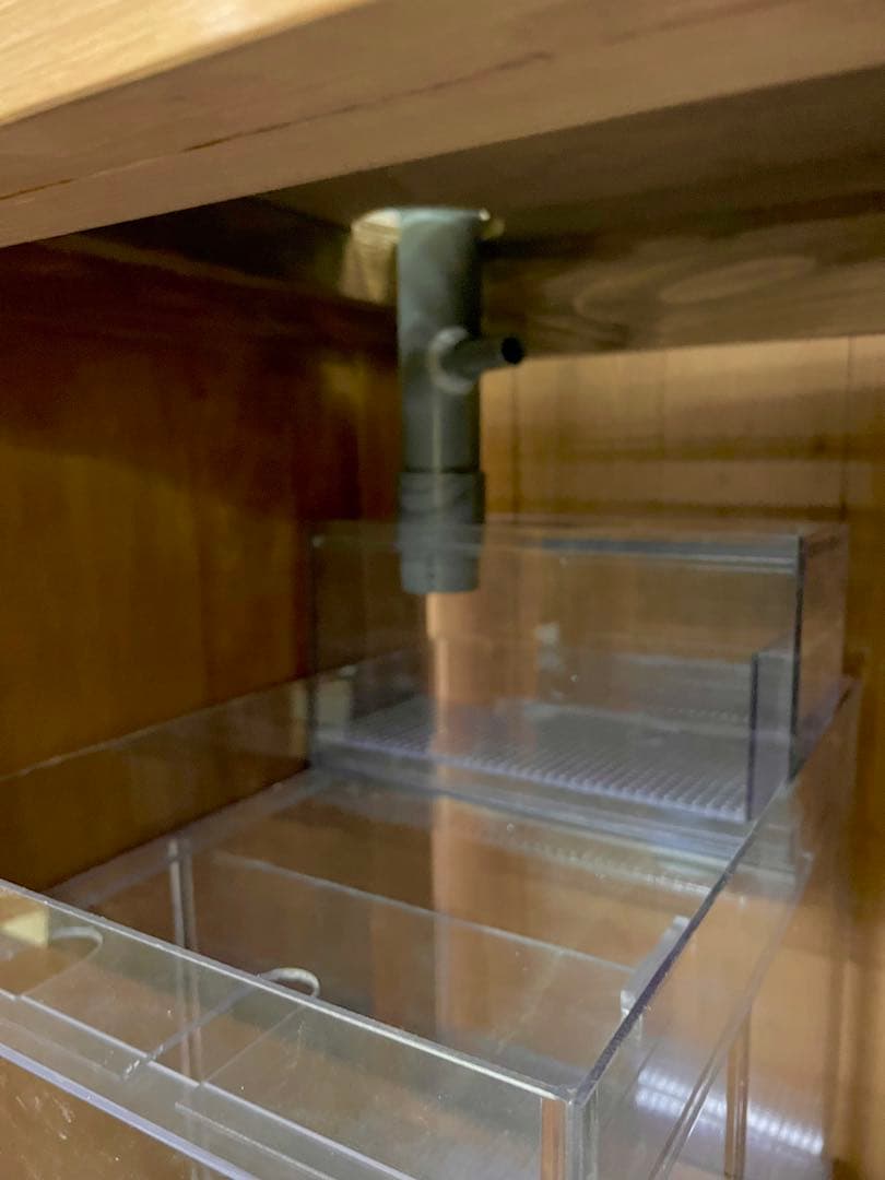 一点限定　レアサイズ　450ｘ450ｘ600㎜オーバーフロー水槽 セット