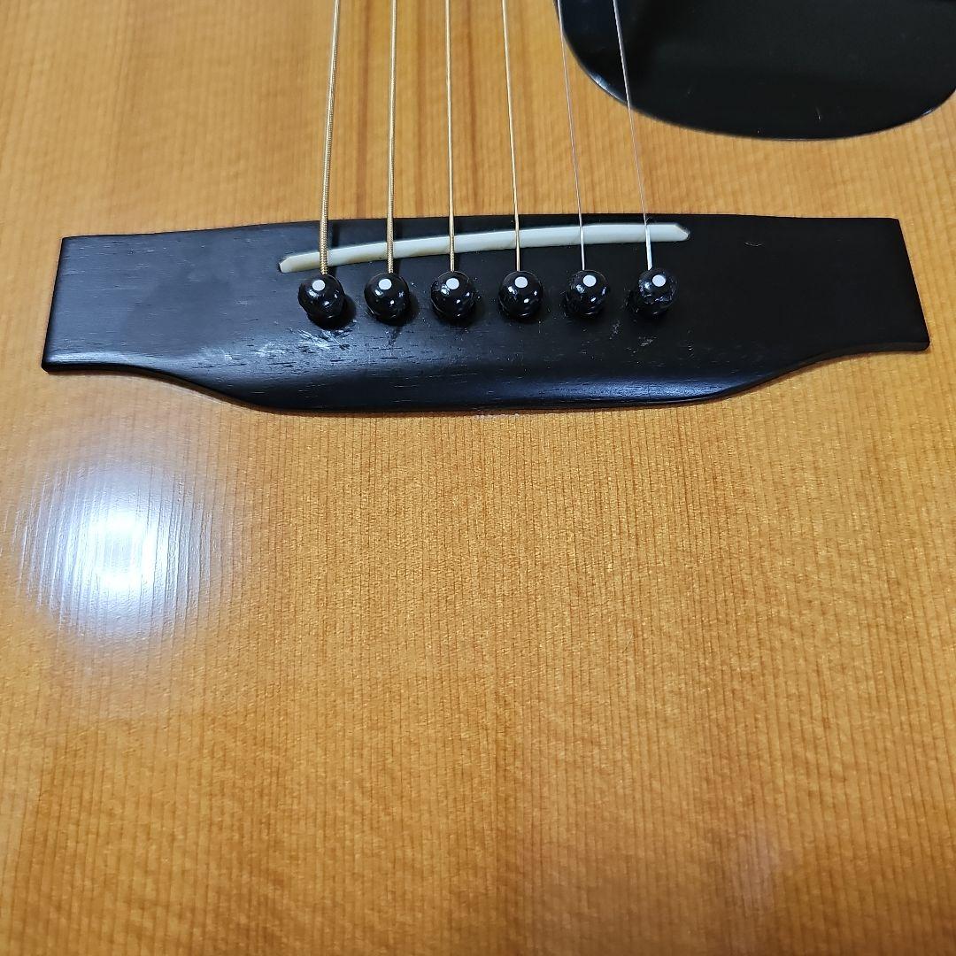 Morris.F-25四角ラベル初期型 キグバック付き