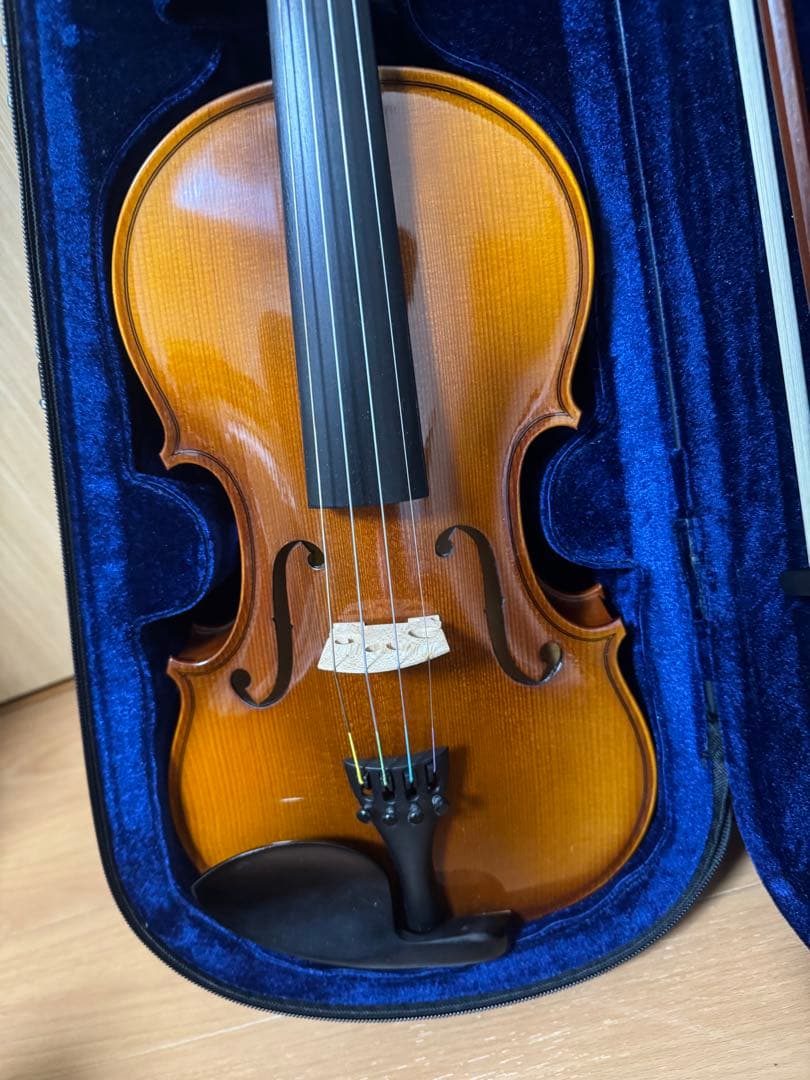 HORA Reghin 4/4 Romania 2019 バイオリン
