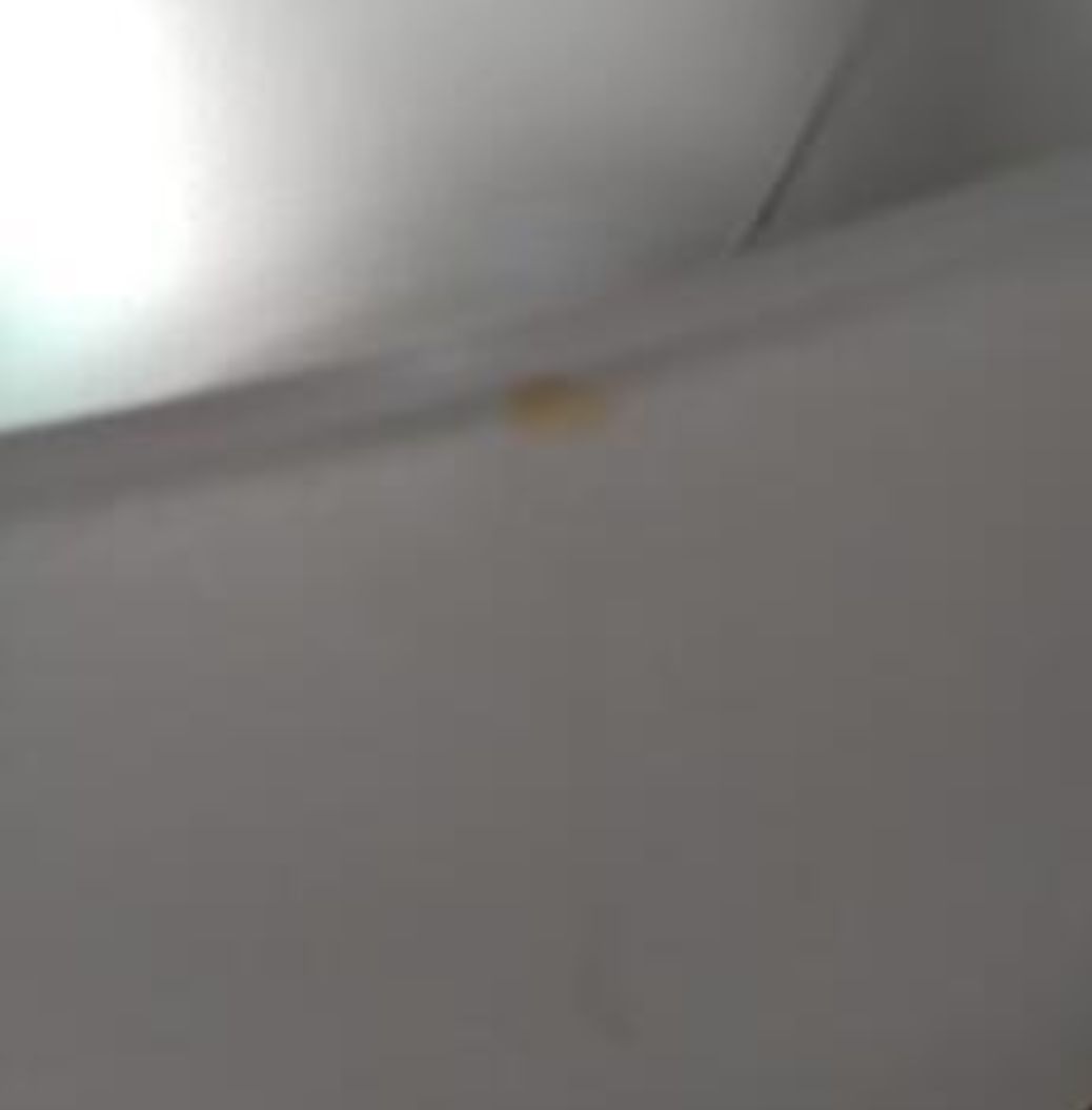 クリスタルシンキングボウル１８インチＧ+25