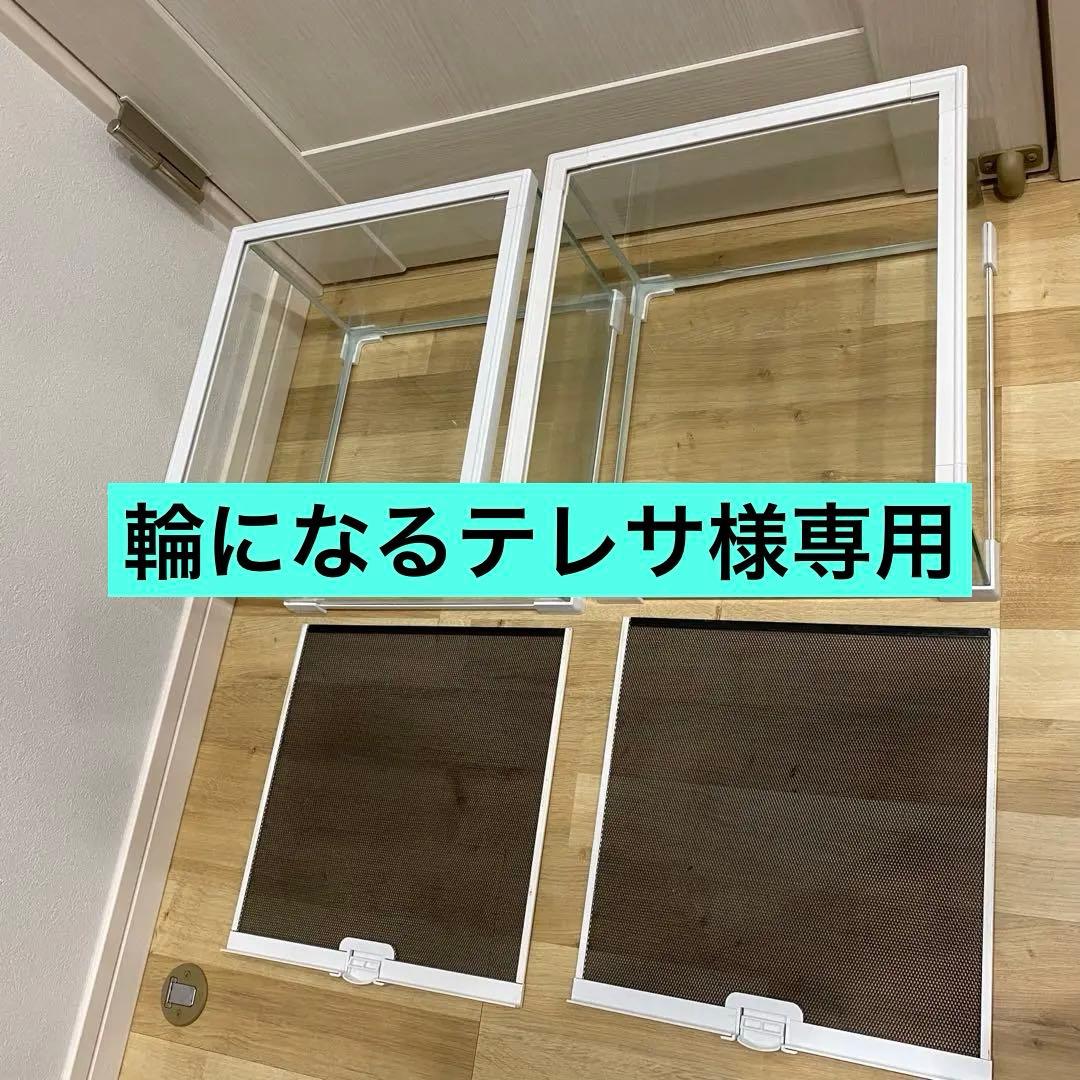 専用出品　グラスゾーン30