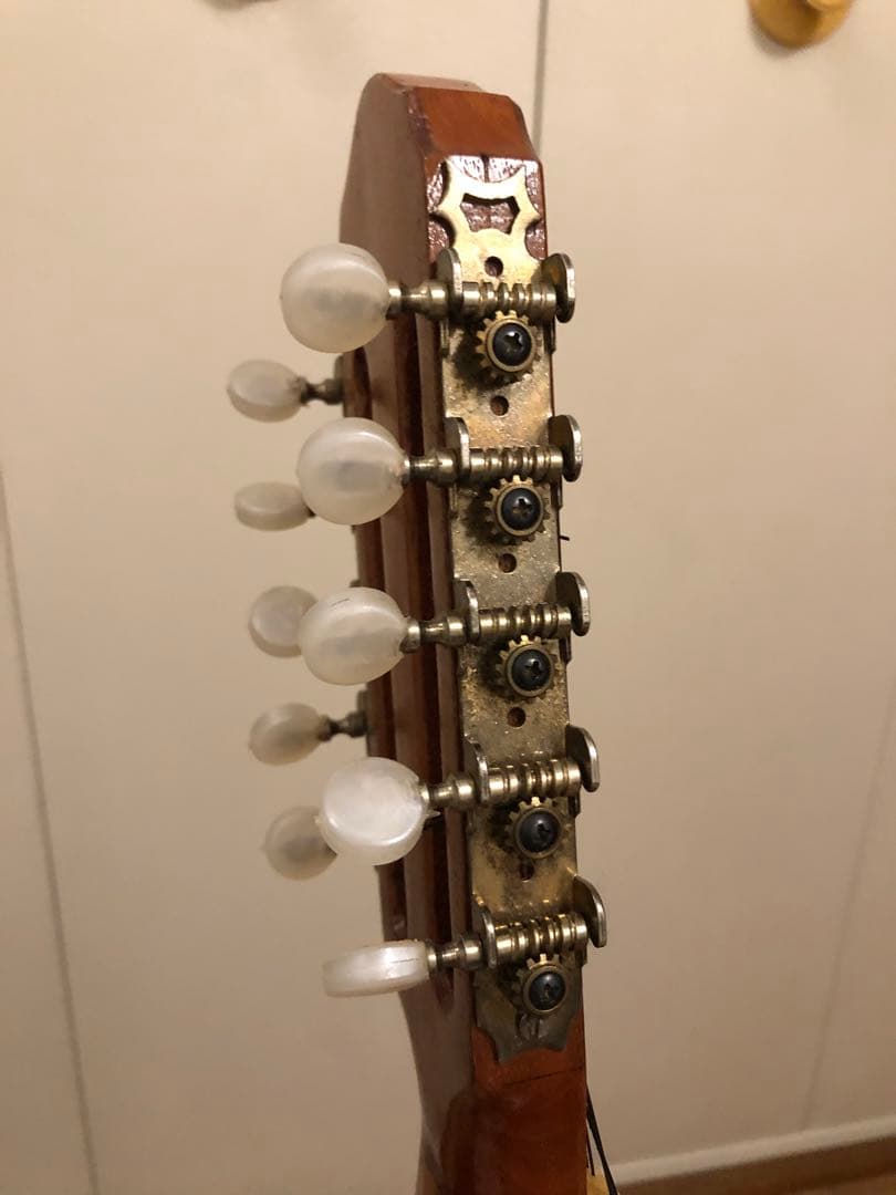 ◆チャランゴ ◆南米弦楽器 ◆ケースとストラップ付き◆フォルクローレ