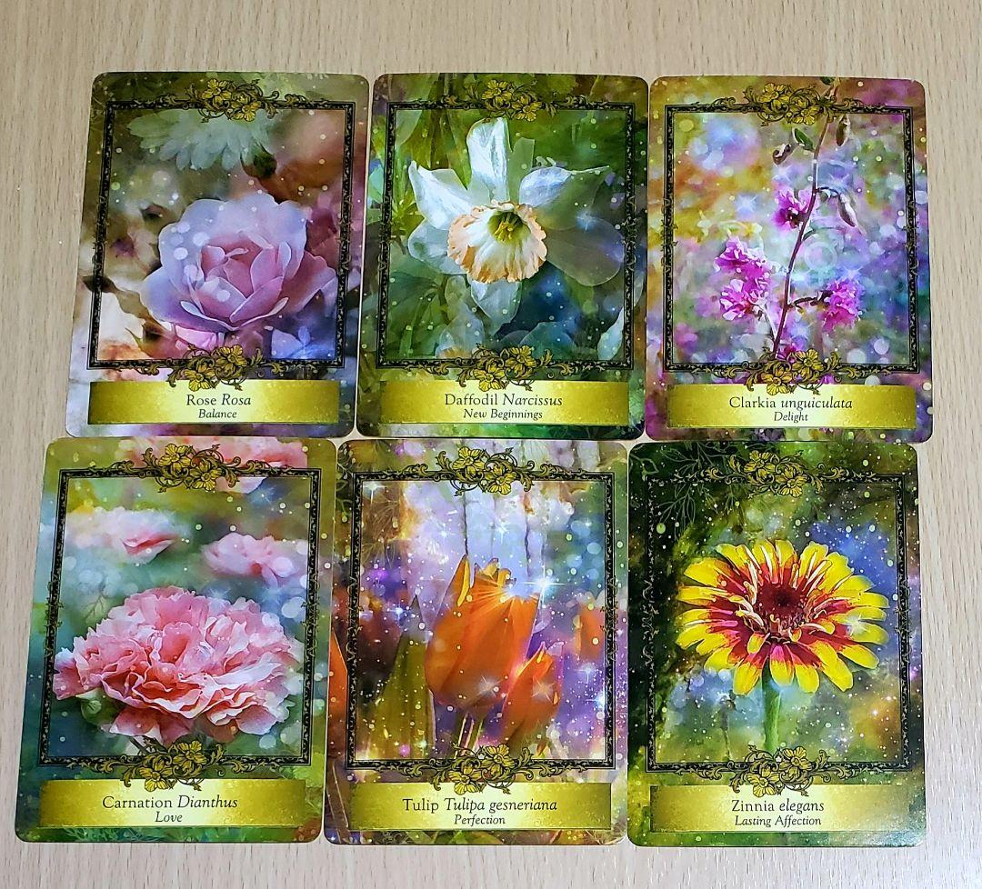 Alchemy Flower Oracle オラクルカード