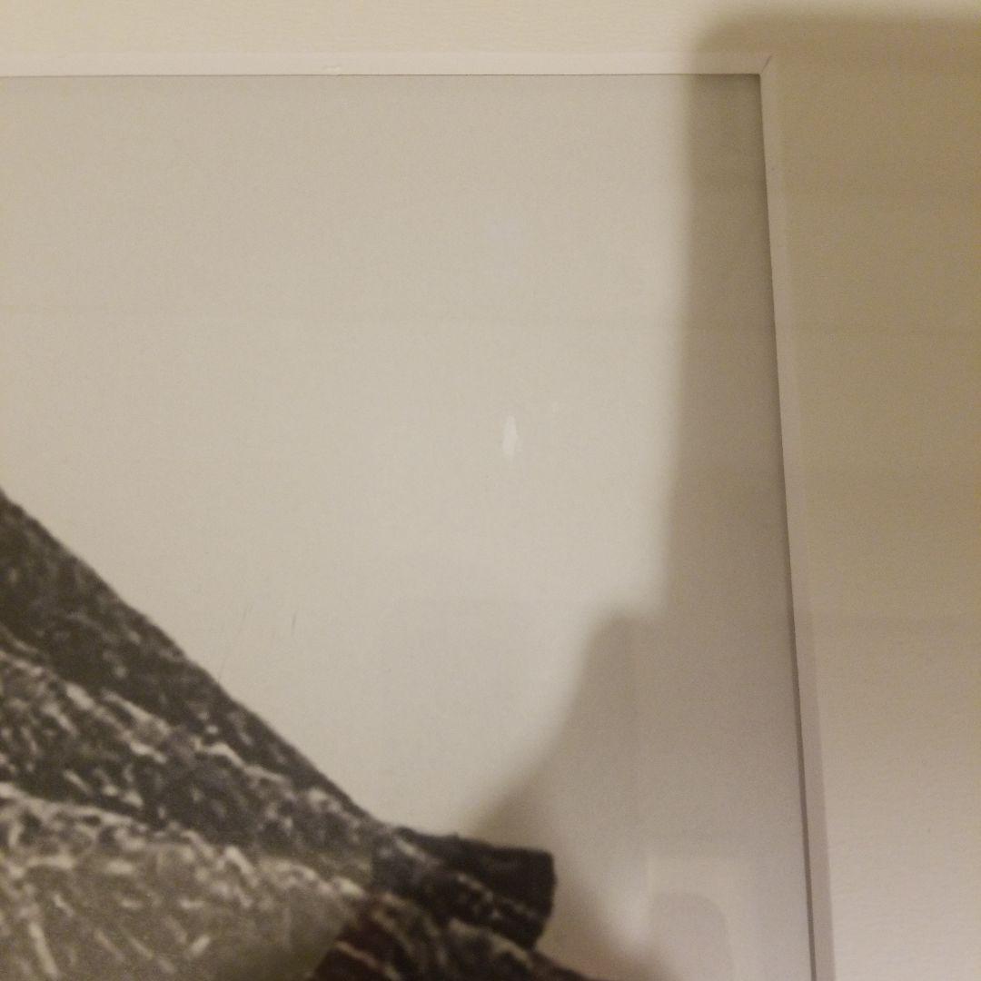 アラキ様　ボーコンセプト　フレームアート　【訳あり】