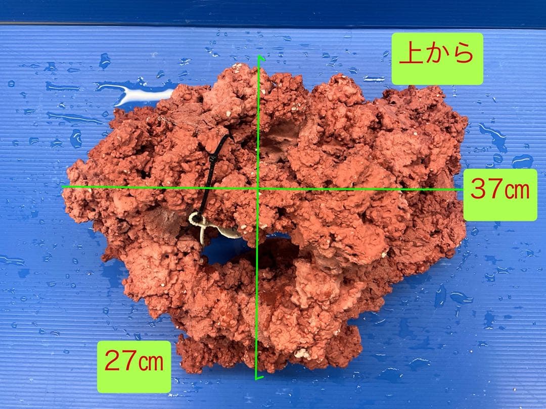 人工ライブロック. No.28. CO2無害化処理済