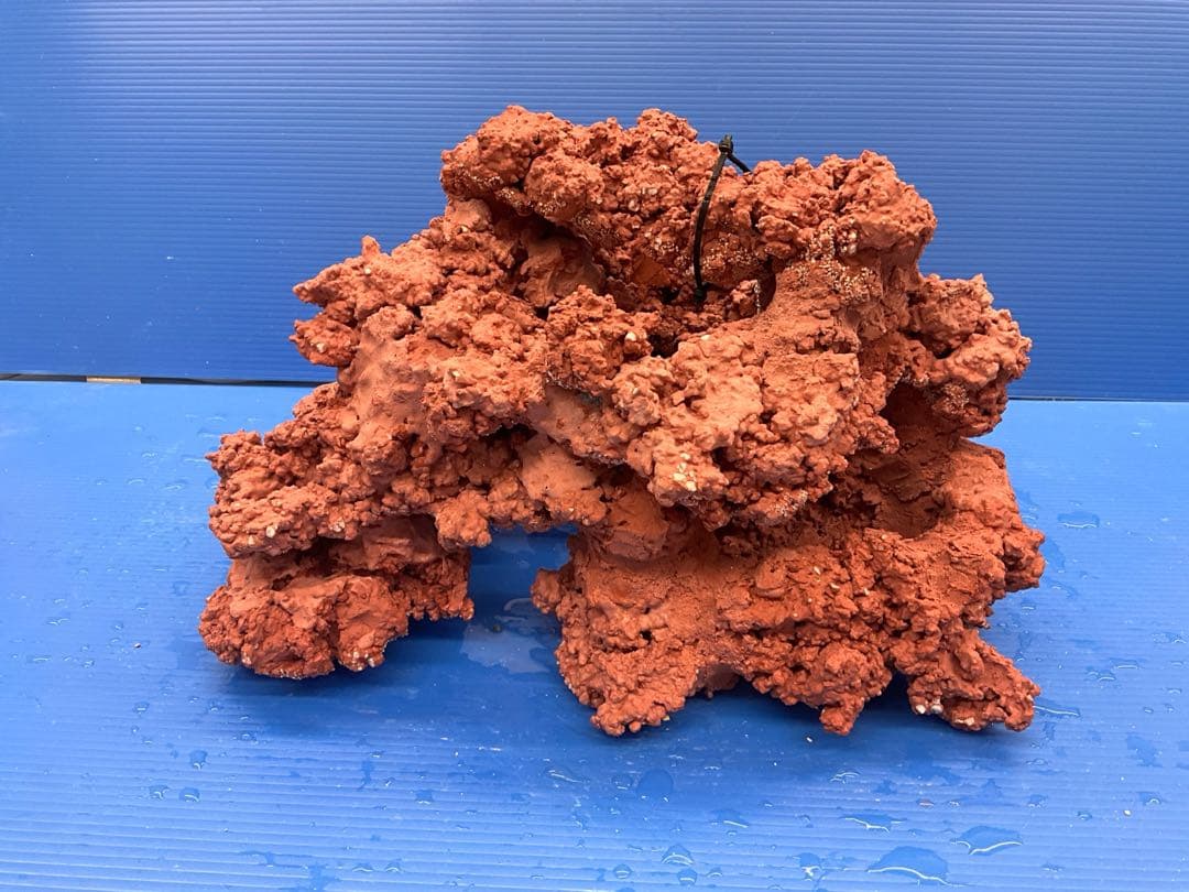 人工ライブロック. No.28. CO2無害化処理済