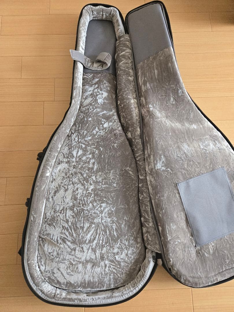 Bacchus BTE-TW NS / バッカス オールローズ風 テレキャスター