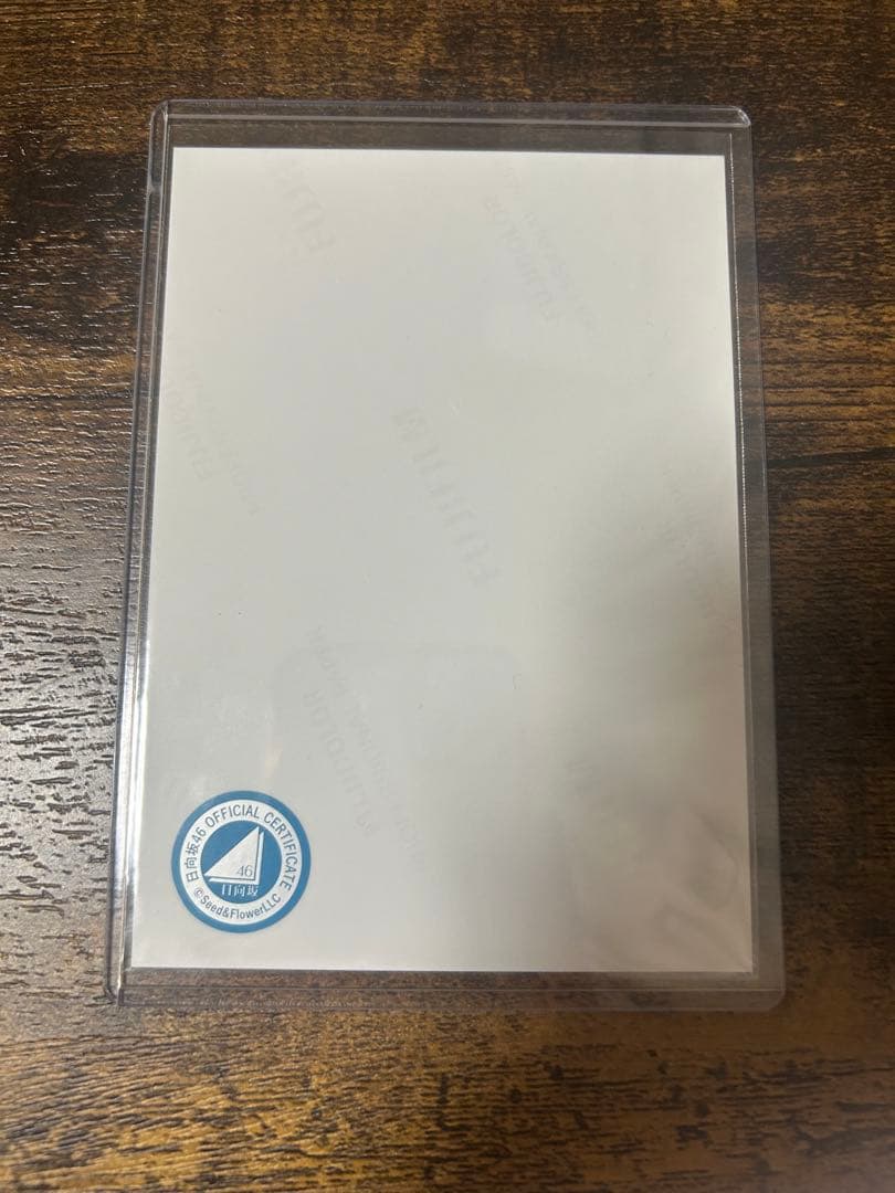 日向坂46 小坂菜緒　サンタ衣装生写真　直筆サイン おまけ付き　平尾帆夏