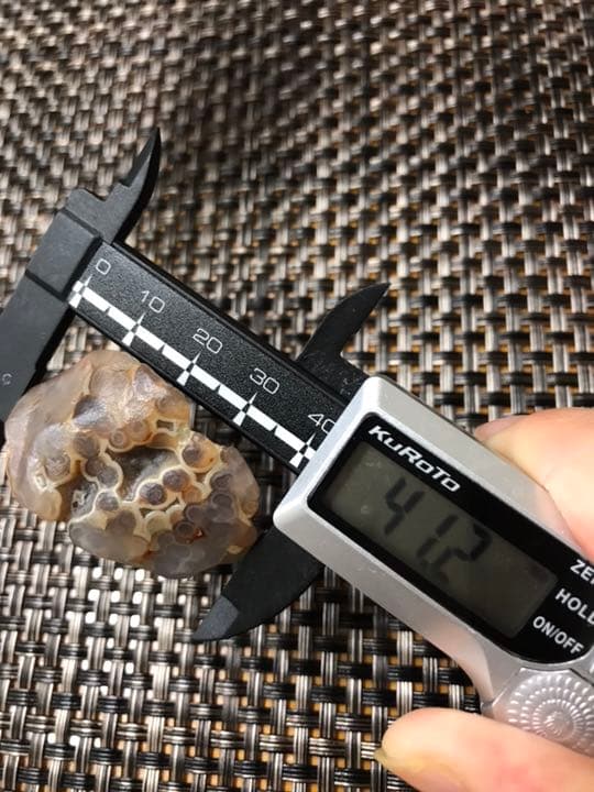 ゴビ石−111 ゴビ瑪瑙 花眼　蜂の巣　原石