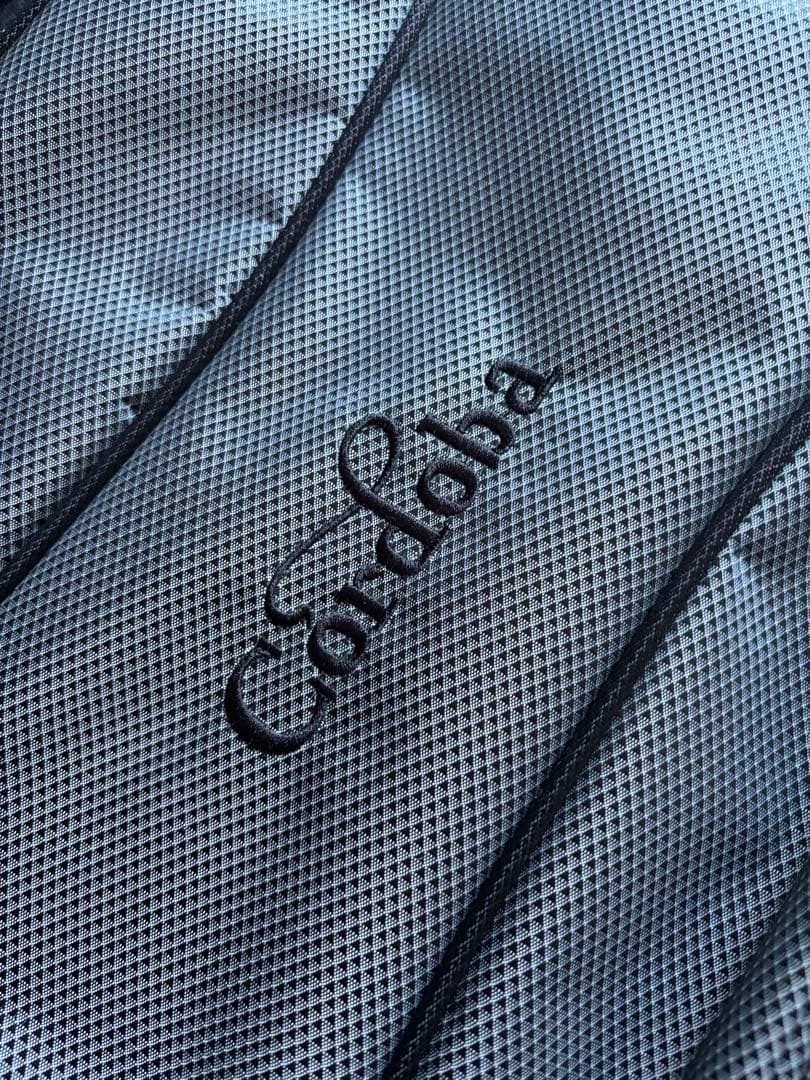 SELDER ストラトキャスタータイプ 赤 フェンダー