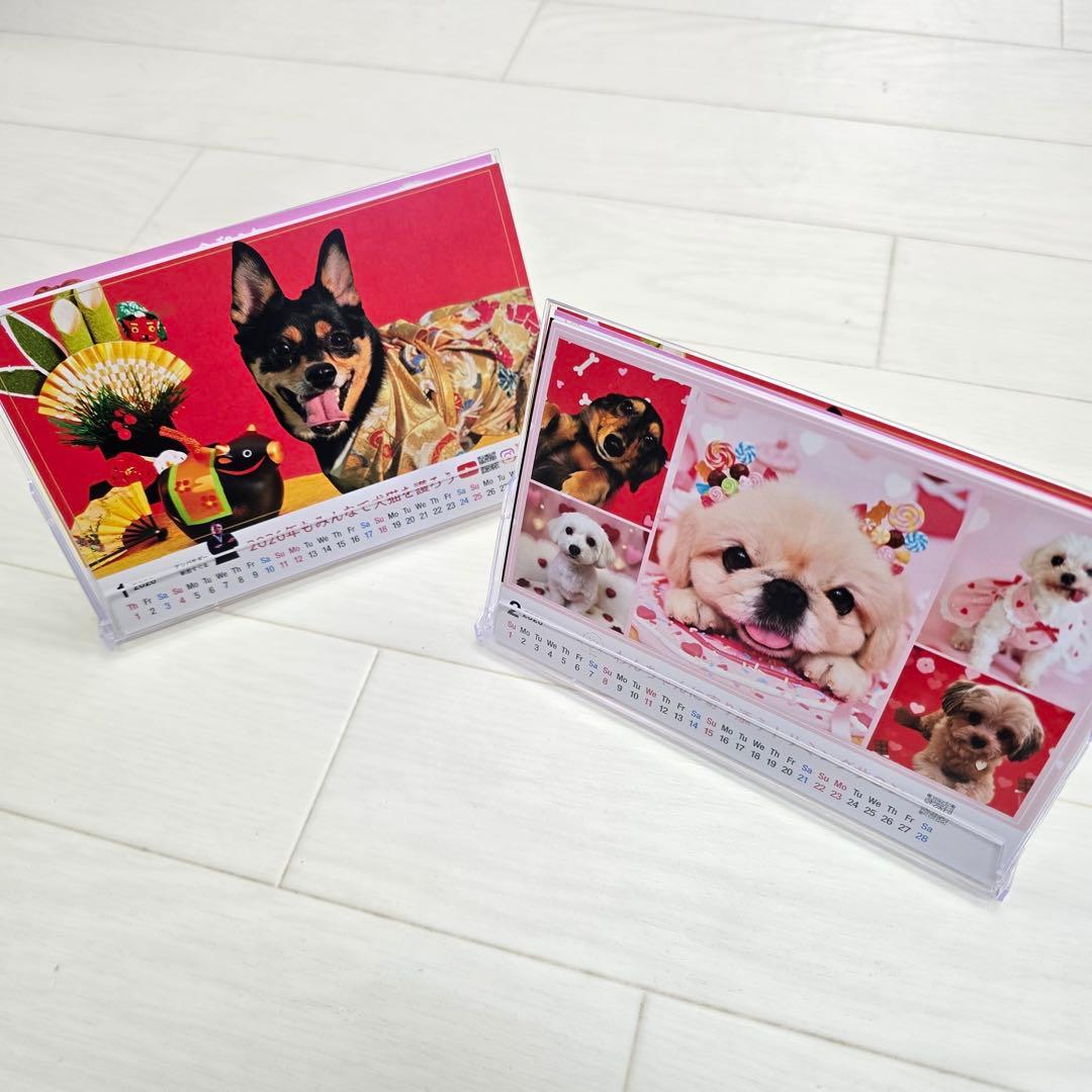 ②『犬』 卓上チャリティーカレンダー10枚セット
