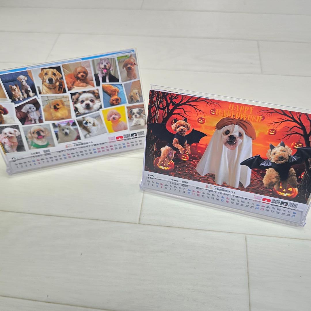 ②『犬』 卓上チャリティーカレンダー10枚セット
