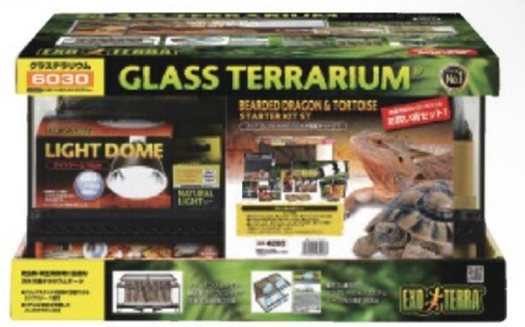 カズ　フトアゴヒゲトカゲ飼育セット