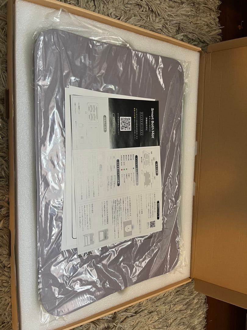 issin イッシン　スマートバスマット　体組成計モデル　2025年購入