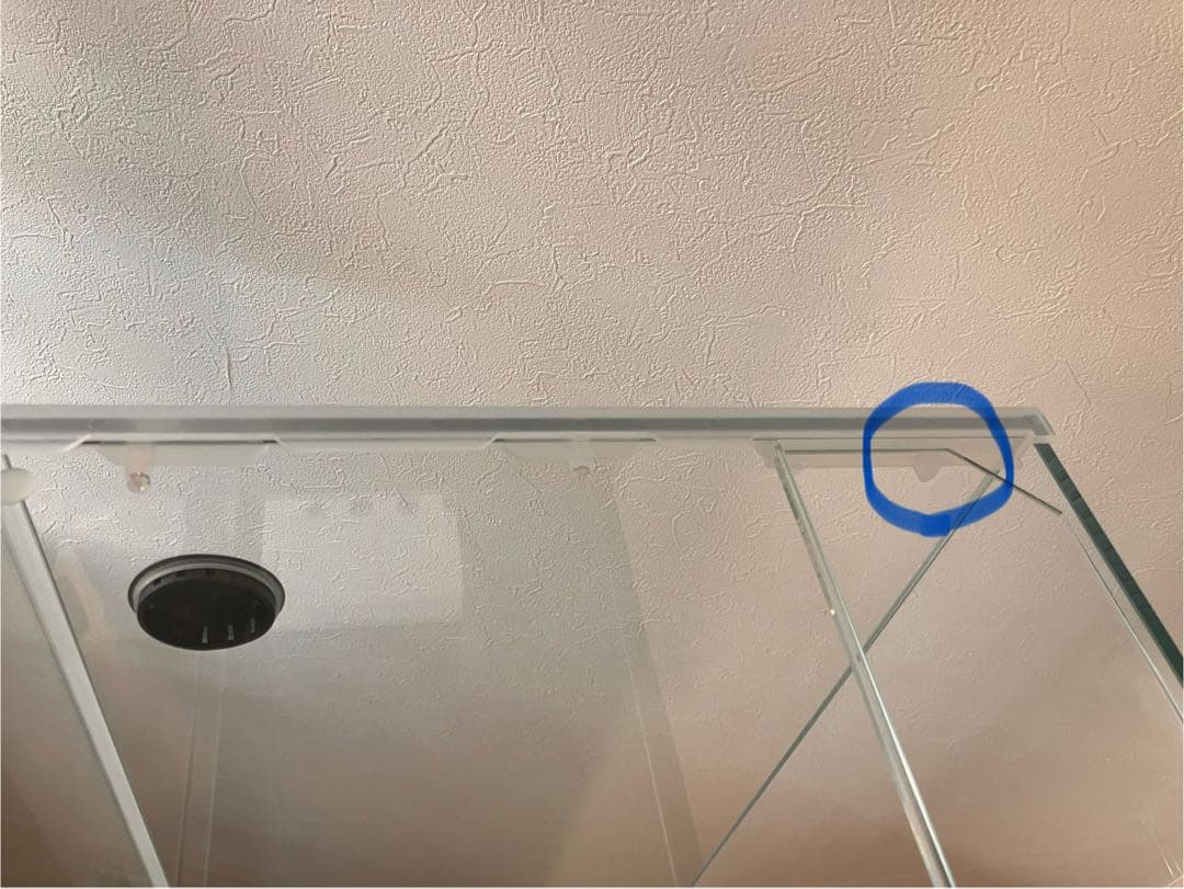 引取限定ADA DOOA ネオグラスパルダ600